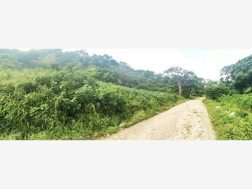 Imagen 7 de 7 de Terreno En Venta Linda Vista Shanka