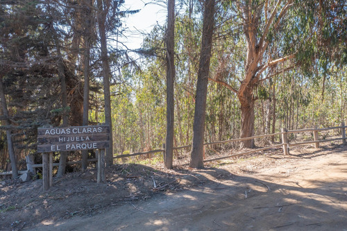 Terreno Para Inversionistas En Cachagua