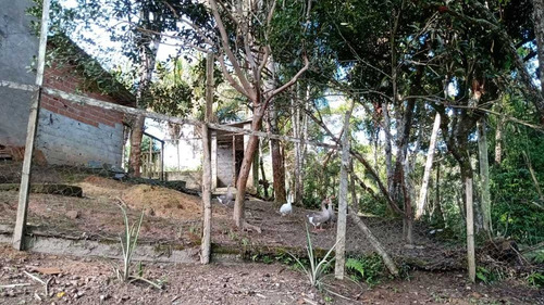 Imagem 9 de 14 de Chácara Com Piscina Lago Pomar 10.000 M² Bem Localizada