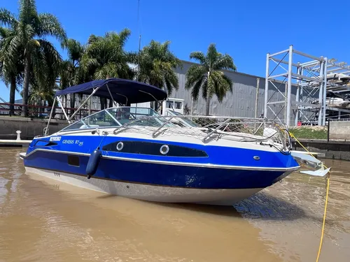 Sportcruiser Genesis Rt255 Volvo 300hp V8 Pata Volvo Duoprop