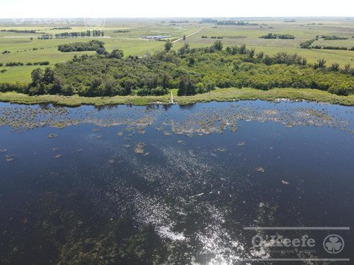 Imagen 1 de 25 de Campo En Venta En Lezama - 530 Has. Ideal Turismo Rural Con Laguna. Pesca - Retasado