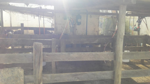 Imagem 6 de 28 de Sítio 18 Alqueires E Meio, 3 Tanques Com Peixe, Nascentes, Casa Sede, 3 Casas Caseiro, Pasto - St00099 - 69894169