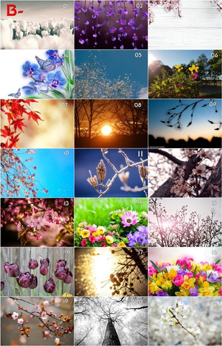 Imagen 6 de 8 de Biombo Separador Impresos Naturaleza - Precio Por Hoja