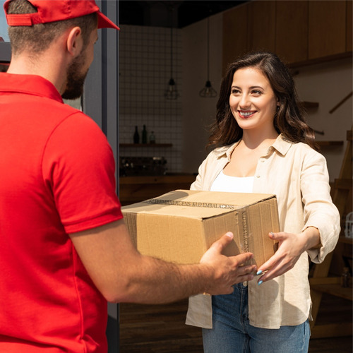 50 Caixas Promoção Correios Pac 16x11x8 Fabricante