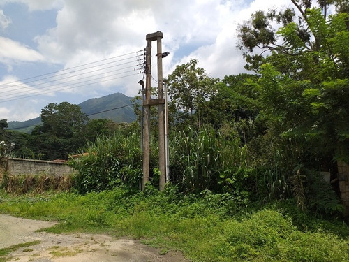 Imagen 3 de 5 de Amplio Terreno En La Entrada, Naguanagua (att-79)