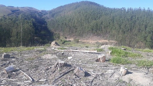 Imagem 15 de 17 de Linda Sitio Em Caçapava Com Ótimo Acesso A Via Dutra - Ar0010