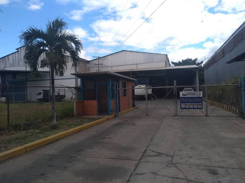 Imagen 3 de 5 de Johanna Castillo Alquila 04145951217 Galpon En Guacara Pruinca
