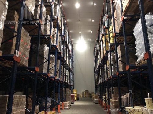 Imagen 4 de 5 de Centro Distribución Congelados Y Secos Venta Palomar
