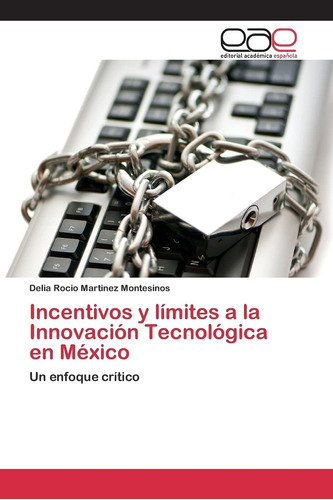 Libro: Incentivos Y Límites A La Innovación Tecnológica En M