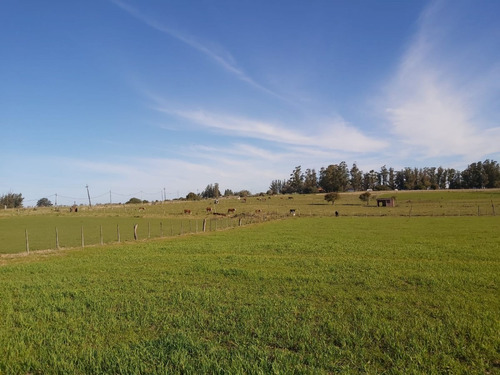 Venta Chacra Ruta 39 , 8 Has - Ref: 3416
