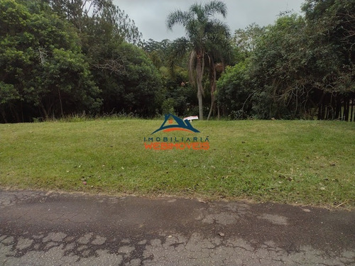 Imagem 4 de 5 de Terreno - Te00111 - 71128102
