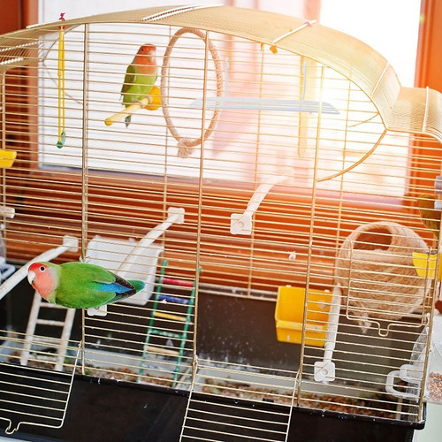 Plataforma Para Loros Domésticos, 2 Unidades, Con Forma De P