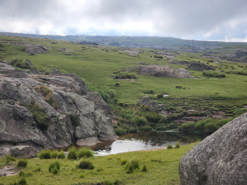 Imagen 11 de 30 de Se Vende Espectacular Fraccion De 70 Hectareas Con Agua, Pastizal, Vistas Unicas, Red 4g Personal En Los Gigantes