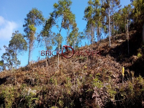 Imagem 3 de 21 de Terreno No Parque Do Imbuí Com 1380 M². - Te00036 - 32109186