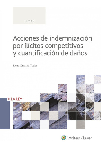 Acciones De Indemnización Por Ilícitos Competitivos Y Cuanti