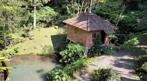 Hostel Com Templo Budista Serra Gaúcha Mata Atlântica