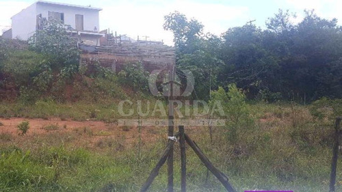Imagem 3 de 3 de Terreno - Protasio Alves - Ref: 149487 - V-149487