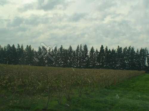Imagen 4 de 5 de Rn9 100 - Baradero - Baradero