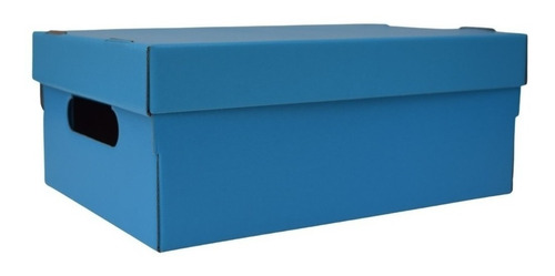 Caja Lisa Organizadora Plastificada 30x22x12cm X Unidad