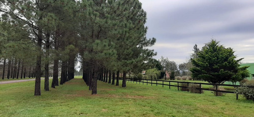 Venta Casa Estancia Las Lilas Chacras De Campo