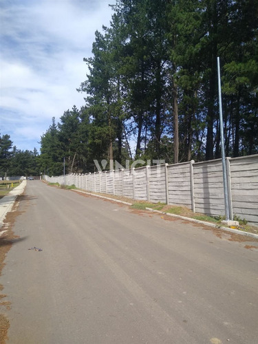 Vendo Sitio En Los Pinos De Reñaca Esquina Riñihue - Puyehue