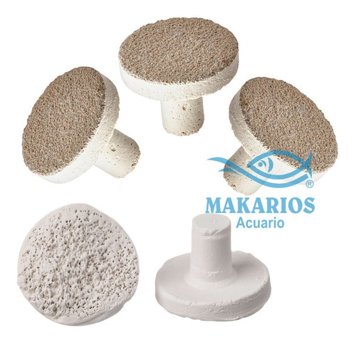 Imagen 2 de 7 de Coral Frag Plugs X5 Soporte Solido Corales Reef Acuario