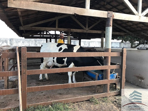 Imagem 17 de 24 de Lotes A Venda Na Fazenda Real 3 E 4, Macaíba