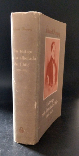 Poeppig Testigo Alborada Chile Viajes 1960 Planos