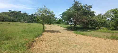 Venta De Lotes En Agua De Dios Con Escrituras