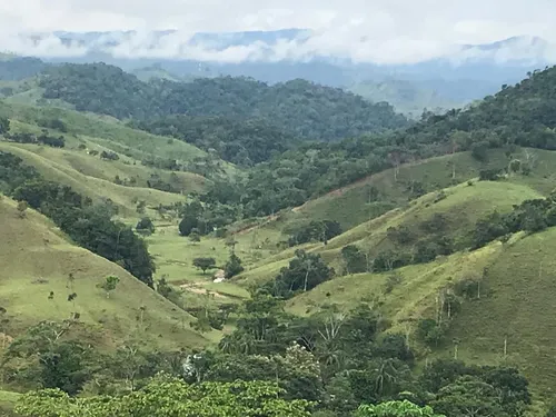 Se Vende Finca Ganadera En Doradal