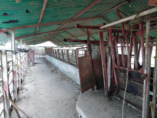 Imagen 14 de 24 de Hato En Venta En Santa Bárbara De Barinas