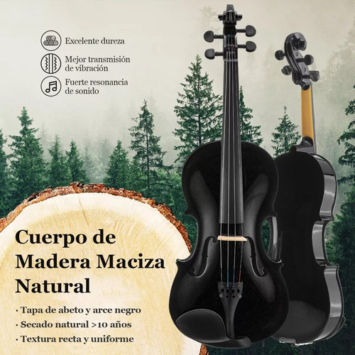 Violin Acustico 4/4 Profesional Con Estuche Y Arco Y Accesorios Color Negro AMOLORIA