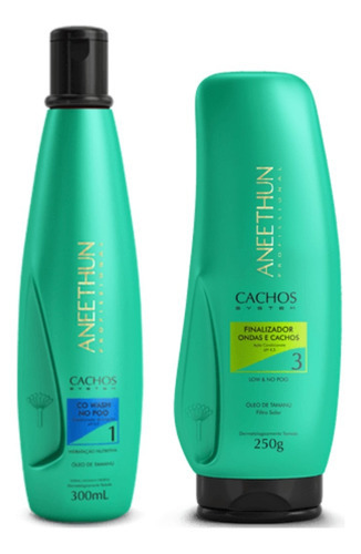 Kit Aneethun Cachos System Cd 300ml + Finalizador 250g