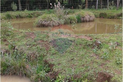 Imagen 6 de 14 de Vendo Casa Quinta En Carmen Del Paraná: 12 Hectáreas Y Media