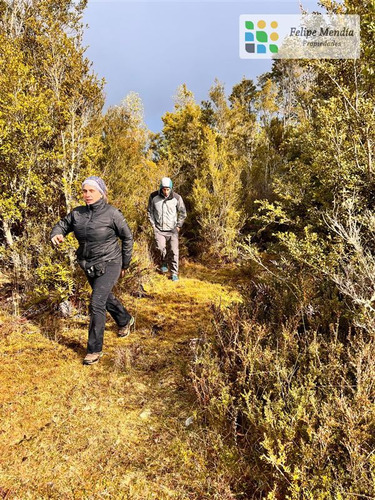 Chiloe: 5.000 Mts. En Parque Privado De Conservacion