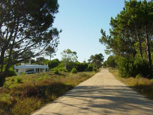 Imagen 2 de 13 de Lotes Céntricos Balneario La Esmeralda Rocha Uruguay Dueño