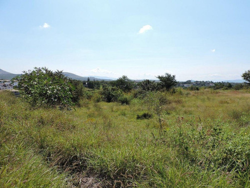 Imagen 6 de 14 de Atencion Inversionistas, Terreno En Venta Sobre Carretera Mé