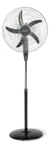 Comprar Ventilador De Pie Smartlife 50cm 3vel 75w Con Oscilación Cantidad de aspas 5 Aspas Negro Diámetro 50 cm Material de las aspas Plástico