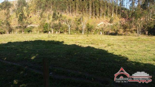Imagem 7 de 15 de Lindo Sitio Na Beira Do Rio Paraiba Jacareí Sp - 3894
