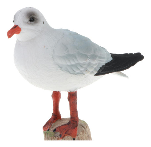 Figuras De Modelo De Gaviota De Cabeza Negra