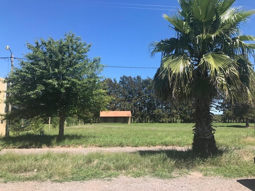 Imagen 6 de 9 de Amplio Lote De 1000 Mts Con Mejoras A Mts De Barranca
