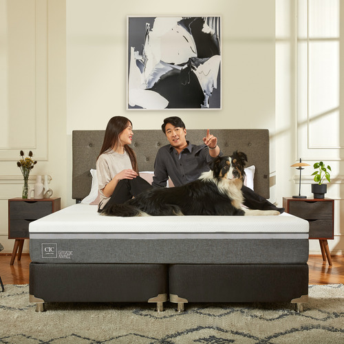Box Spring Ortopedic Advance 2 Plazas + Respaldo Baker