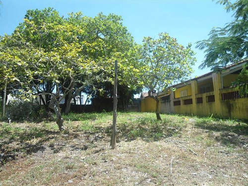Imagem 2 de 2 de Terreno - Venda - Jamaica - Itanhaem - Ita2679