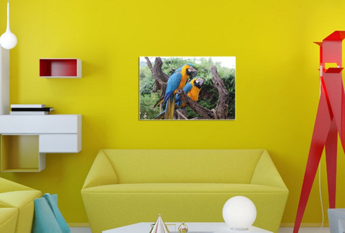 Vinilo Decorativo 40x60cm Guacamayo Pajaro Aves Loro M7