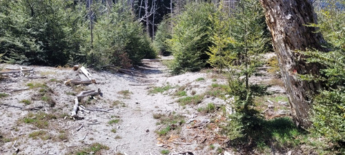 Lotes Terrenos Parcelas En Preventa Con Costa De Rio Paraje Rincón Ruta 231 Villa La Angostura
