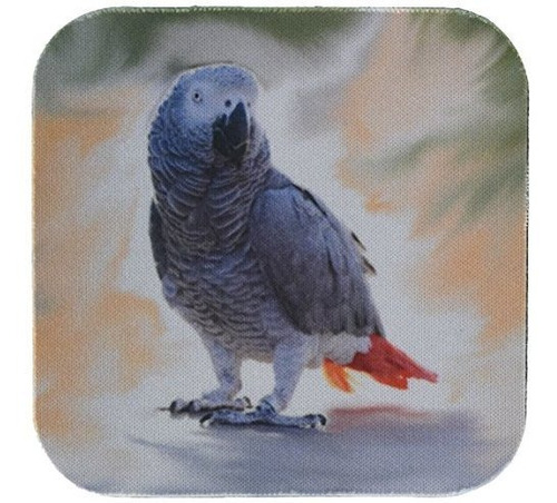 3drose African Grey Parrot Coaster, Soft, Set Of 4