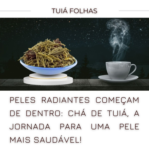 Chá Oficial2N ervas em ervas secas Chá de Tuia 30 g 3 u pacote x 3