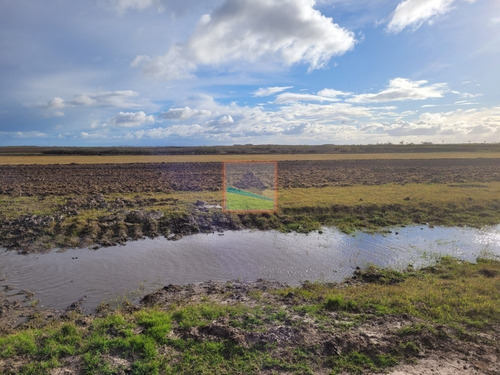 Imagen 26 de 30 de 532 Hectáreas Agrícolas Ganaderas Rocha
