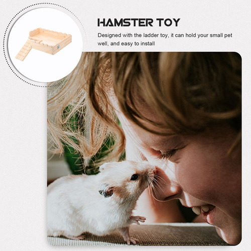 Inicio Accesorios Para Ratas Juguete Para Hámster
