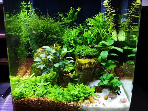 Acondicionador Acuario Envy 350